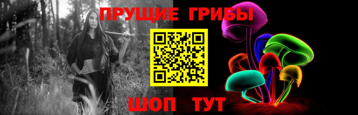 Татарск  Галлюциногенные грибы Cubensis  цены наркотик  Вход с VPN 